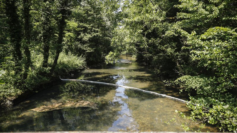 Fotografija: V bližini izvira reke Rižane so namestili ovire za omejitev morebitnega onesnaženja. Foto Uroš Hočevar