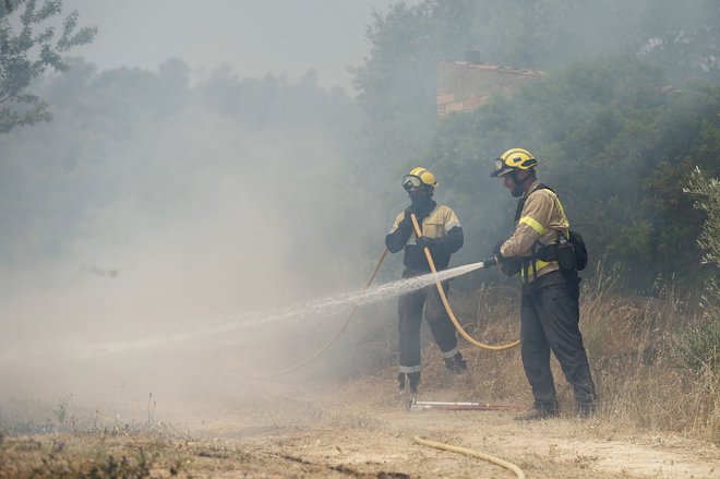 Ogenj v Španiji je uničil več kot 5500 hektarjev gozda. FOTO: Pau Barrena/Afp