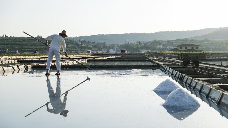 Fotografija: Vsak solinar v Sečoveljskih solinah obdeluje eno solno polje, ki ga tvori 24 bazenov. Z delom začne ob zori, zaključi pa ob mraku. FOTO: Uroš Hočevar