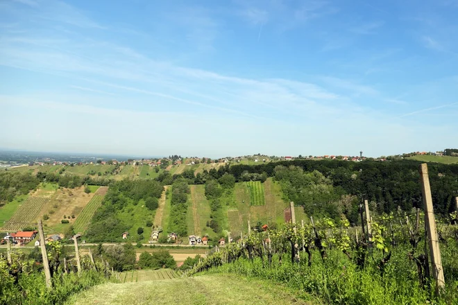 Nad Čentibo, v daljavi Vinarium. FOTO: Dušan Dundek