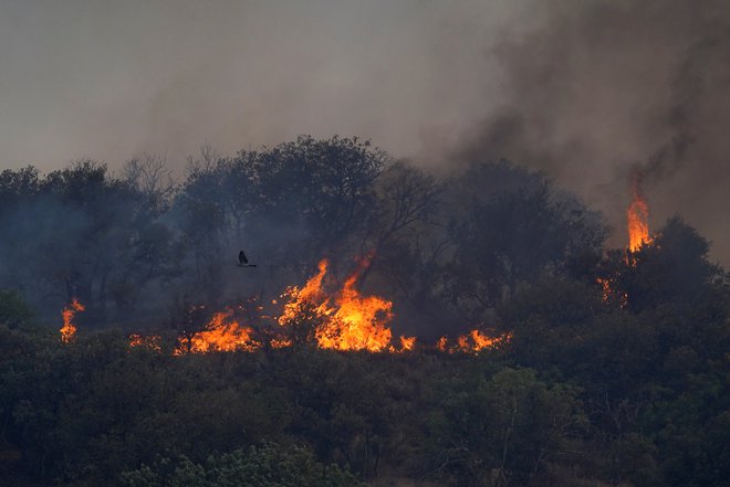 Požar pri Toledu. FOTO: Reuters