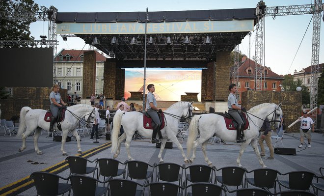 Posebna atrakcija ljubljanske izvedbe bodo lipicanci iz lipiške kobilarne. Fotografije Jože Suhadolnik