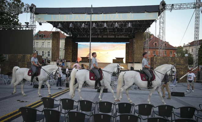 Posebna atrakcija ljubljanske izvedbe bodo lipicanci iz lipiške kobilarne. Fotografije Jože Suhadolnik