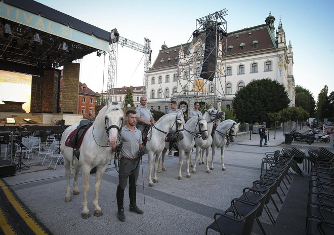 Posebna atrakcija ljubljanske izvedbe bodo lipicanci iz lipiške kobilarne. Foto Jože Suhadolnik
