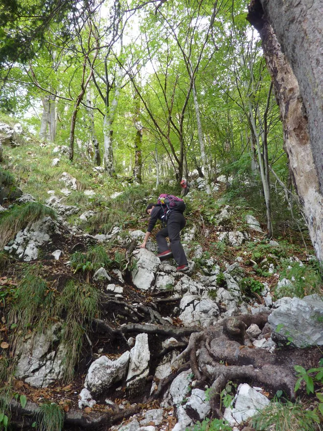 Na nekaterih odsekih visi drevje čez pot, klini, ki držijo jeklenico, pa so na vsaj enem mestu razmajani in zato neuporabni.<br />
FOTO: Boštjan Fon