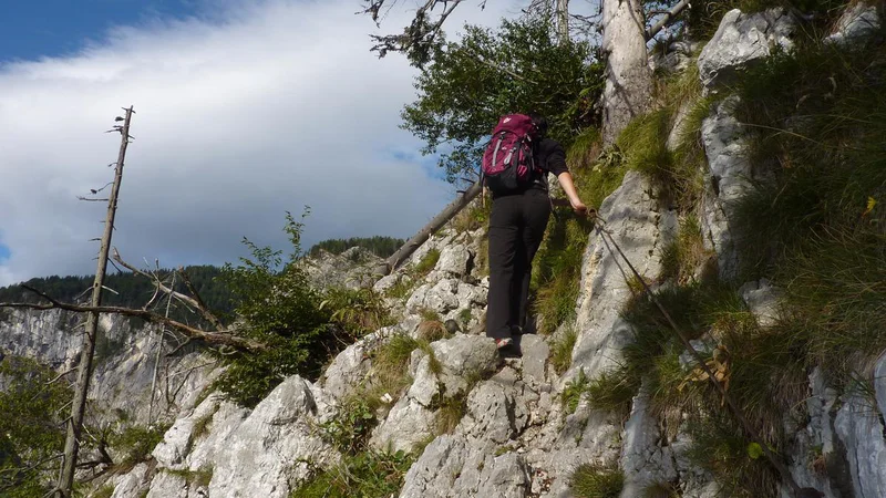 FOTO: Boštjan Fon