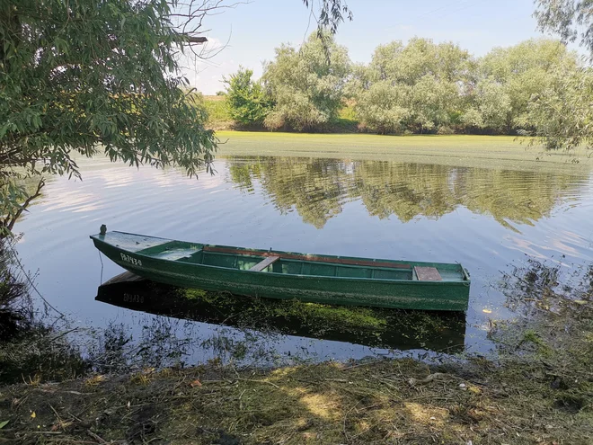 Skriti rokavi in popoln mir spremljajo tiste, ki se podajo na potep ob Donavi. Foto Milena Zupanič