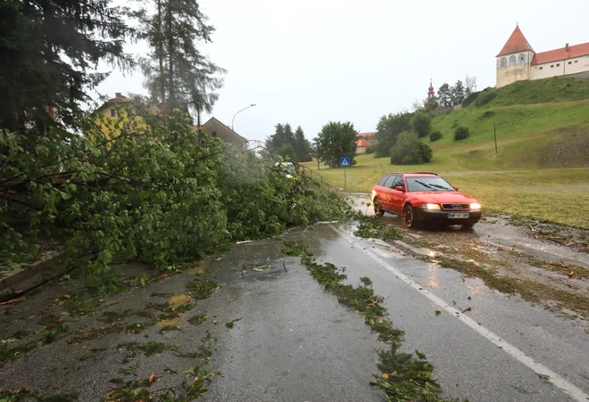 FOTO: Sašo Bizjak/Večer