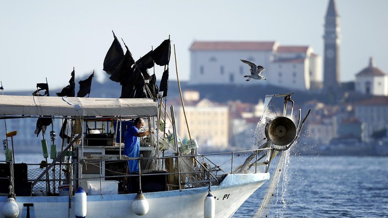 Fotografija: Slovenski ribiči imajo 44 kvadratnih kilometrov morja manj, saj jih hrvaška policija nenehno ovira pri delu. FOTO: Matej Družnik/Delo