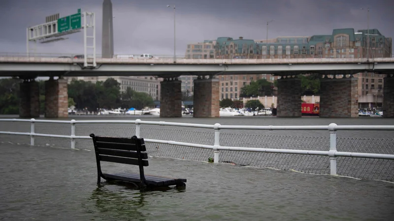 Fotografija: Klop pod vodo v bližini reke Potomac. FOTO:Jim Watson/Afp