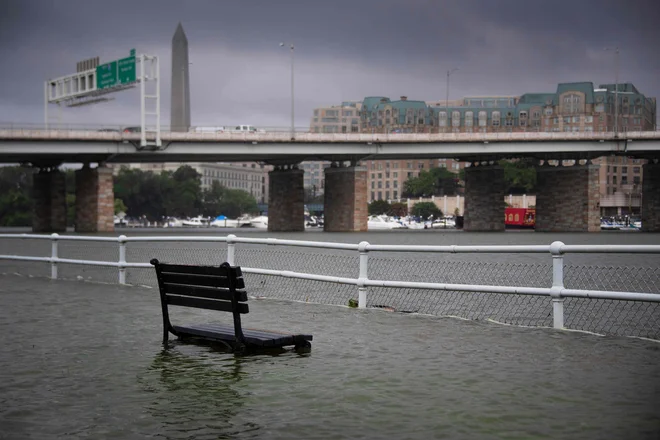 Klop pod vodo v bližini reke Potomac. FOTO:Jim Watson/Afp
