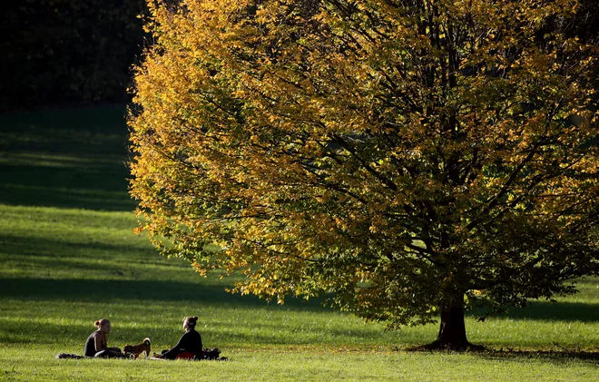 Za blagodejne učinke ni treba v oddaljene kraje, saj se ti pokažejo že po sprehodu po mestnih zelenih površinah. FOTO: Tomi Lombar