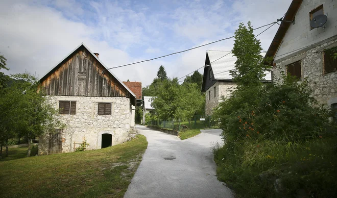 Otroci se še vračajo v prazne vasi, vnuki so redki obiskovalci. FOTO: Jože Suhadolnik