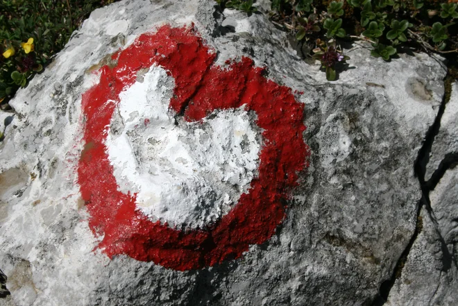 Planinska srečka je prva v seriji družbeno odgovornih projektov Športne loterije Slovenije. Foto: Manca Čujež