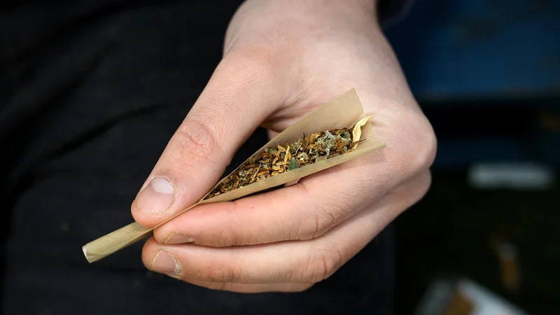 Fotografija: Tam, kjer je marihuana legalizirana, mladi manj posegajo po njej, je pokazala ameriška raziskava. FOTO: Jože Suhadolnik/Delo