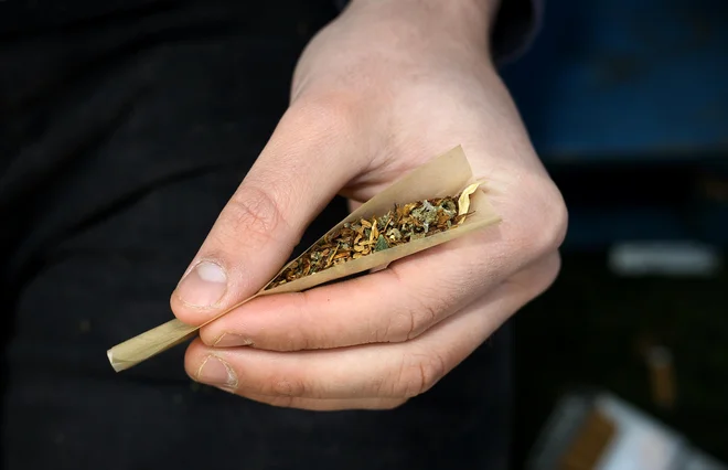 Tam, kjer je marihuana legalizirana, mladi manj posegajo po njej, je pokazala ameriška raziskava. FOTO: Jože Suhadolnik/Delo