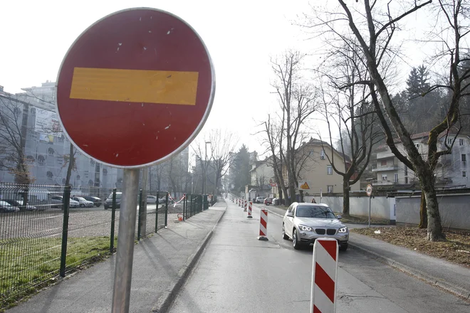 Lokalni dovoz bo omogočen, so sporočili z Mestne občine Ljubljana. FOTO: Leon Vidic/Delo