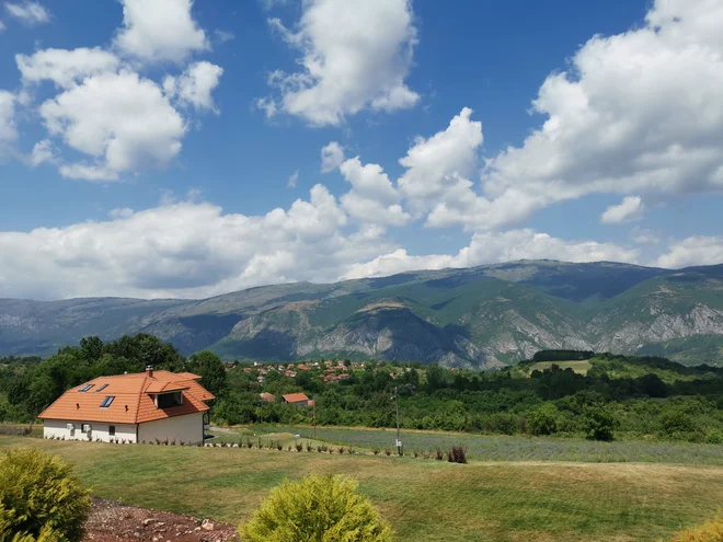 Gorazd Čuk gosti v »slovenski hiši« na plantaži zelišč v Tamnjanici izbrane evropske slikarje v slikarski koloniji Pigmalion. Foto: Milena Zupanič