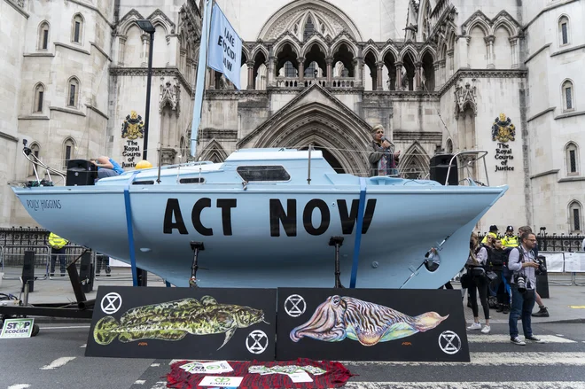 FOTO: Niklas Halle&#39;n/Afp