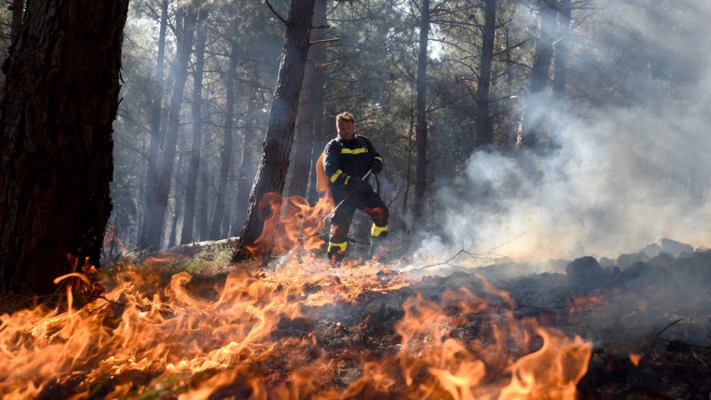 Fotografija: Gasilci so do jutranjih ur požar lokalizirali. Pri tem so jim pomagali tudi s helikopterji. FOTO: Jure Mišković/Cropix 