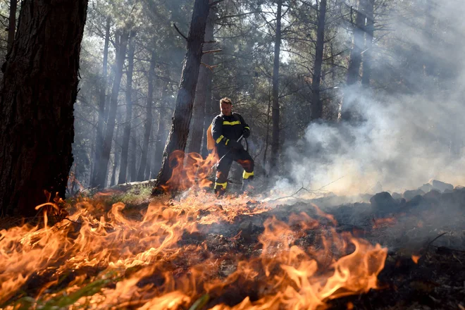 FOTO: Jure Mišković/Cropix