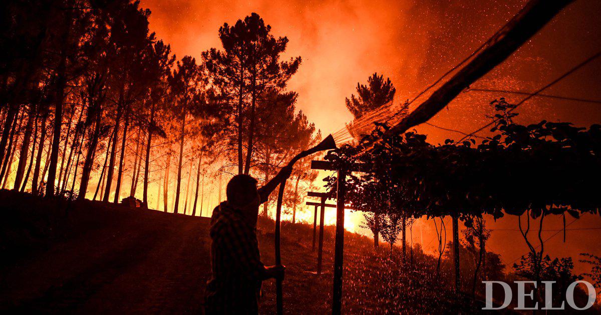 Incêndios florestais de grande escala atingiram Portugal