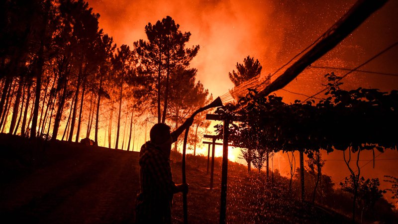 Fotografija: Po podatkih portugalske civilne zaščite se gasilci v regiji borijo s tremi požari. FOTO: Patricia De Melo Moreira/AFP