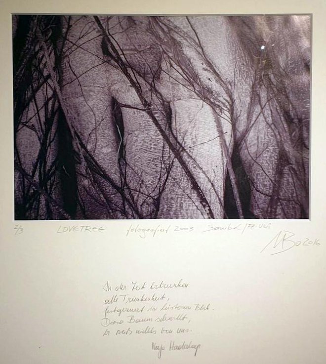 Manfred Bockelmann, Maja Haderlap - <em>Love Tree</em>, 2016 FOTO: Galerija Vprega