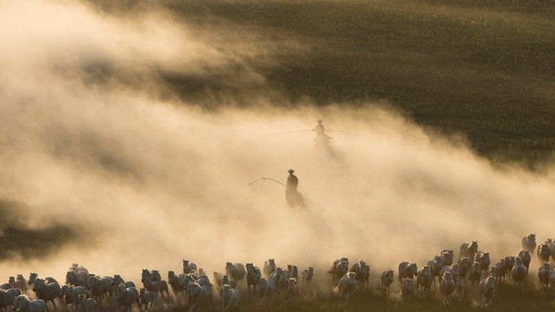 Fotografija: Konji in njihovi čuvaji na prostranih mongolskih prerijah v avtonomni regiji Ujimqin. FOTO: China Stringer Network/REUTERS