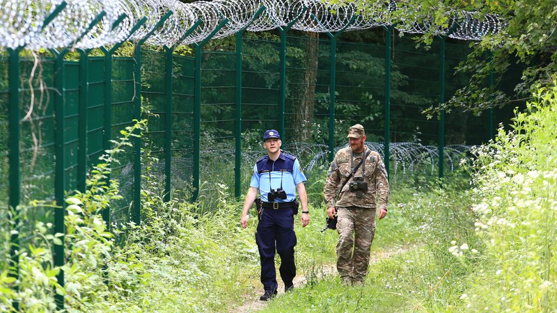 Fotografija: Na slovenski južni meji za varnost skrbijo policisti in vojaki. FOTO: Tomi Lombar/Delo