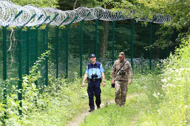 Na slovenski južni meji za varnost skrbijo policisti in vojaki. FOTO: Tomi Lombar/Delo
