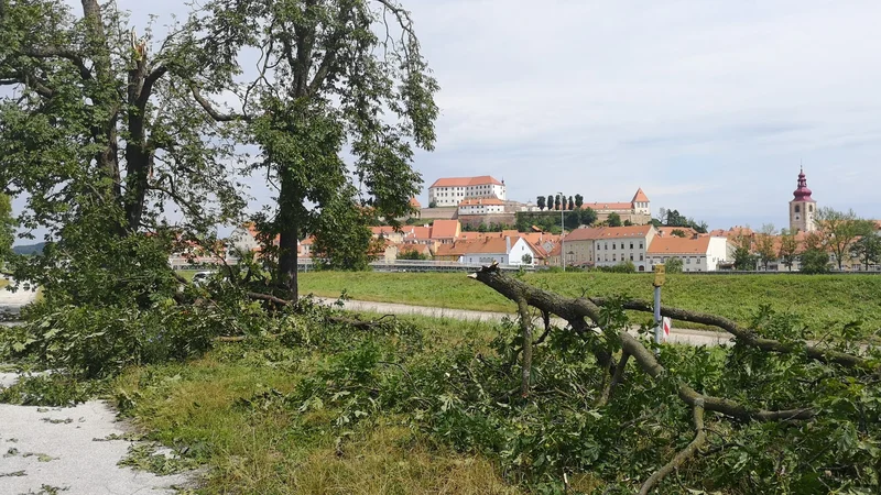 Fotografija: Neurje je pred kratkim pustošilo na Ptuju. FOTO: Maribor Info