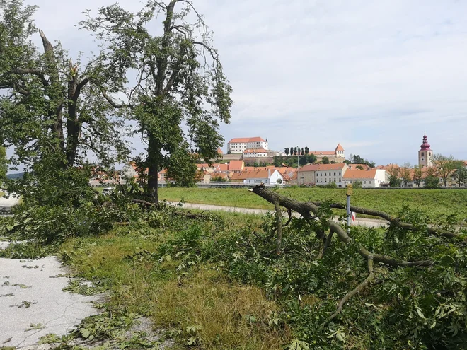 Neurje je pred kratkim pustošilo na Ptuju. FOTO: Maribor Info