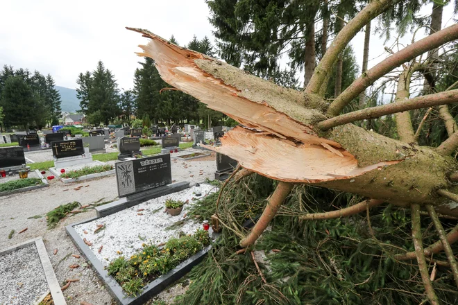 Nad Ribnico in Kočevjem se je razbesnelo neurje z močnim vetrom in točo v začetku tega meseca. FOTO: Marko Feist 