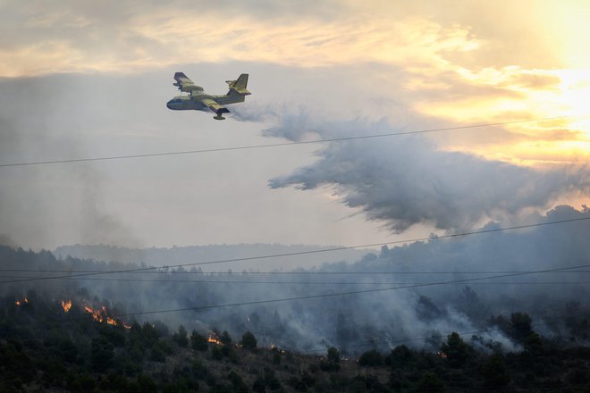 Gre za največji požar na Hrvaškem letos. FOTO: Niksa Stipanicev/Cropix