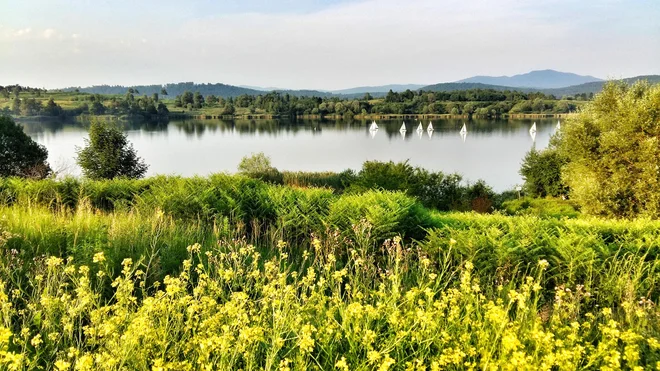 Kočevsko jezero je Mančnino najljubše, prevsem zaradi spominov na otroške in mladostniške dni. FOTO: osebni arhiv