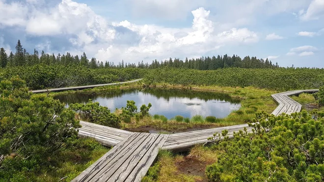 Na Lovrenška jezera Manco vežejo še posebej lepi spomini. FOTO: osebni arhiv