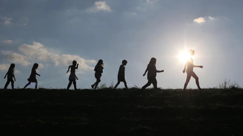 Fotografija: Državna matura naj bi bila orodje za izbiro najprimernejših kandidatov za nadaljevanje študija na izbranih fakultetah. FOTO: Tomi Lombar/Delo