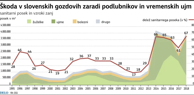 Škoda v slovenskih gozdovih zaradi podlubnikov in vremenskih ujm. FOTO: Delo