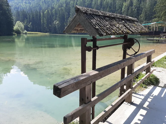 Čeprav temperatura vode ne preseže 14 stopinj, se v Planšarskem jezeru znajdejo tudi kopalci. FOTO: Janez Porenta