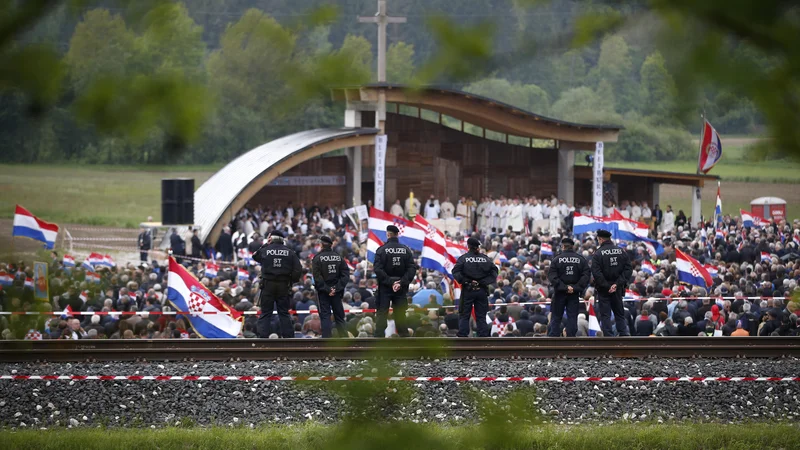 Fotografija: Lani so po slovesnosti obsodili šest ljudi zaradi kršenja zakona o prepovedi nacističnih simbolov. FOTO: Matej Družnik/Delo