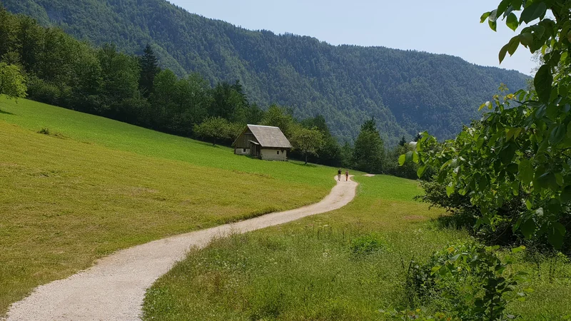 Fotografija: Pozdrav mimoidočega, četudi ne v visokogorju, lahko marsikomu polepša dan. FOTO: Špela Kuralt/Delo