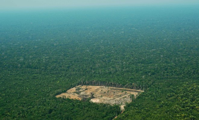 Okoljevarstveniki so ob prihodu Bolsonara na oblast opozarjali na njegove sporne načrte, saj je že med kampanjo postavljal v ospredje gospodarski potencial Amazonije. FOTO: Carl De Souza/AFP
