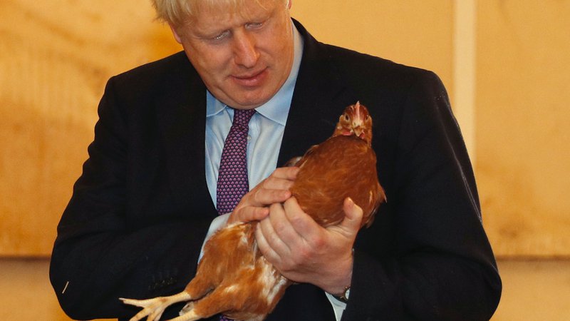 Fotografija: Kaj je bilo prej, kokoš ali jajce? Pisatelj ali politik? Foto Reuters