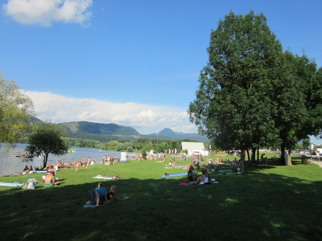 Na zeleni plaži v zeleni senci se spočijejo tudi oči. FOTO: Špela Kuralt/Delo