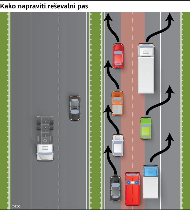 Reševalni pas Foto Infografika