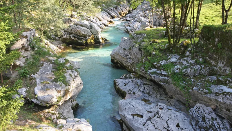 Fotografija: Moški se je poskušal uloviti, a kljub temu padel čez previs v strugo Soče. Foto: Arhiv Dela