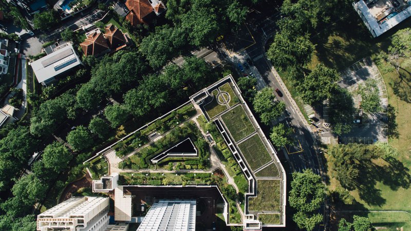Fotografija: Zelene strehe so v številnih mestih prej pravilo kot izjema, njihova namembnost pa je zelo različna. Na fotografiji primer igrišč in parka v Singapurju. Foto Chuttersnap/Unsplash