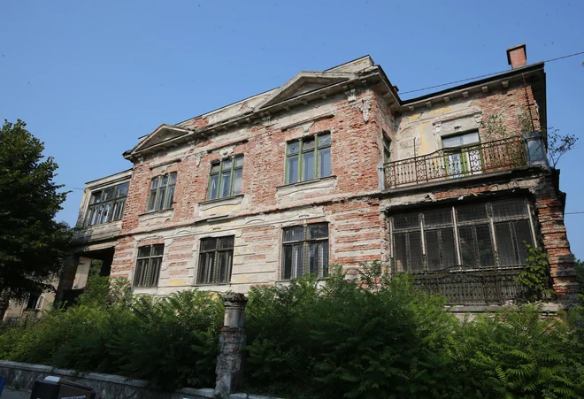 &raquo;Po eni strani sem zelo vesela, da bo hiša spet lepa, po drugi strani pa me skrbijo posledice te rekonstrukcije za okolico.&laquo; Foto Igor Zaplatil