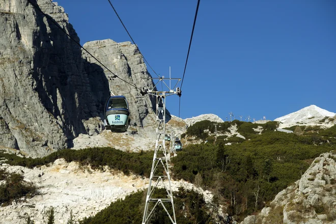 Letos so do zdaj prepeljali veliko več kot 22.000 ljudi, do konca leta jih pričakujejo 30.000. Foto Uroš Hočevar